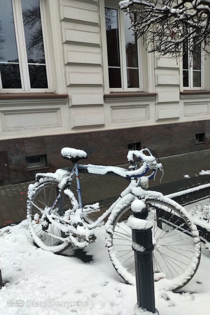 winter