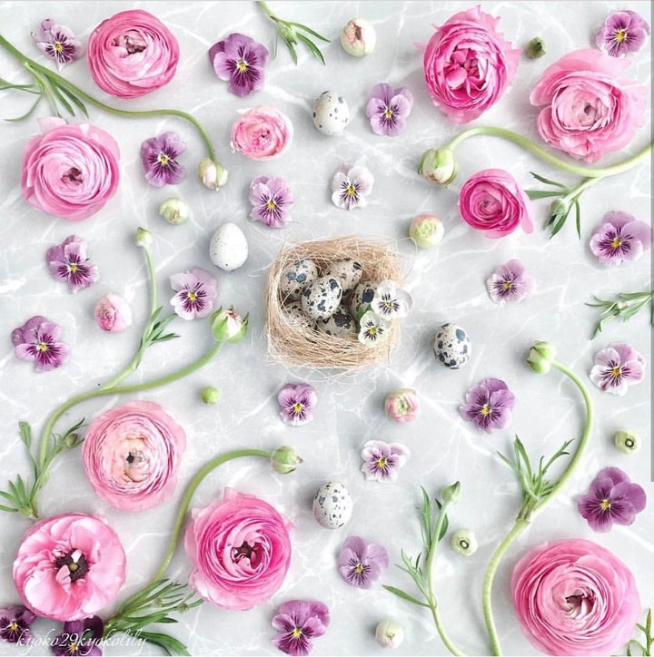 blossom art