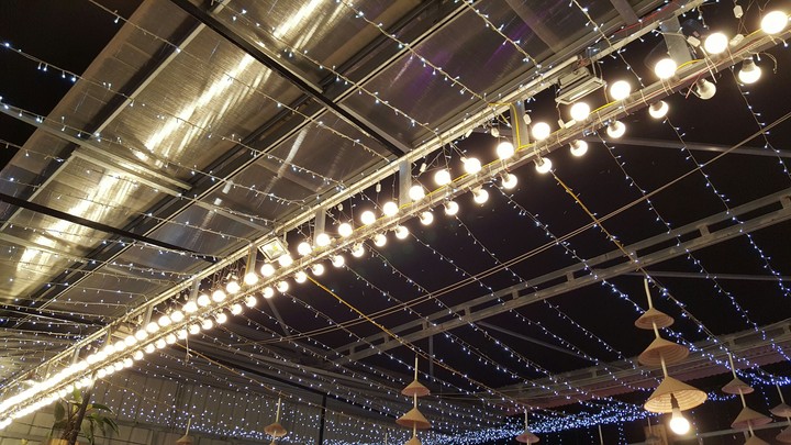 outdoor lights