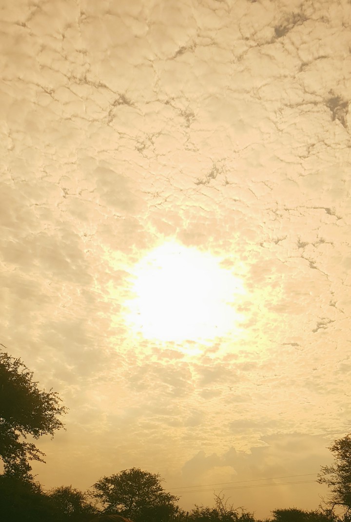 Sun Kissed
