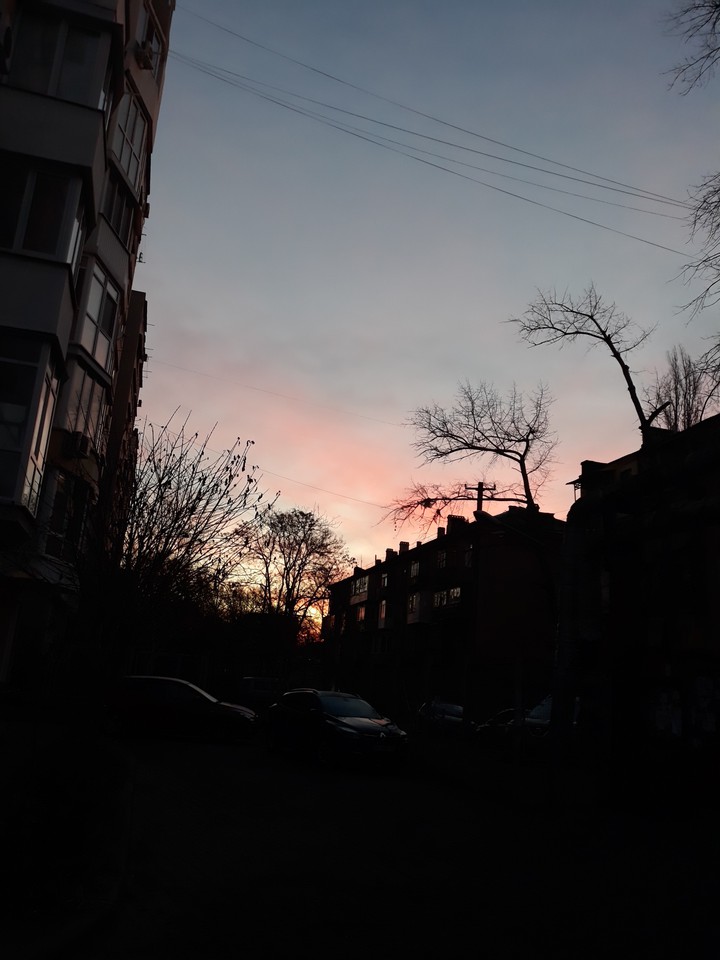 Morning