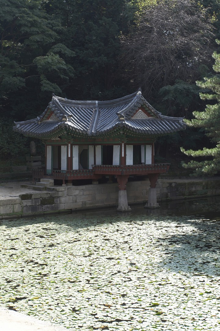 Asia