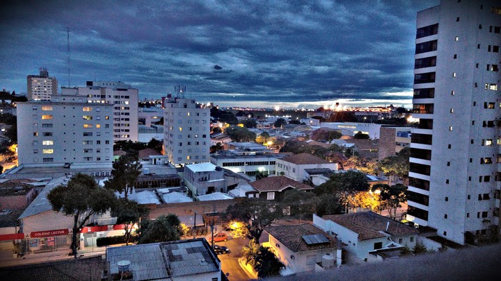 Selva de pedras