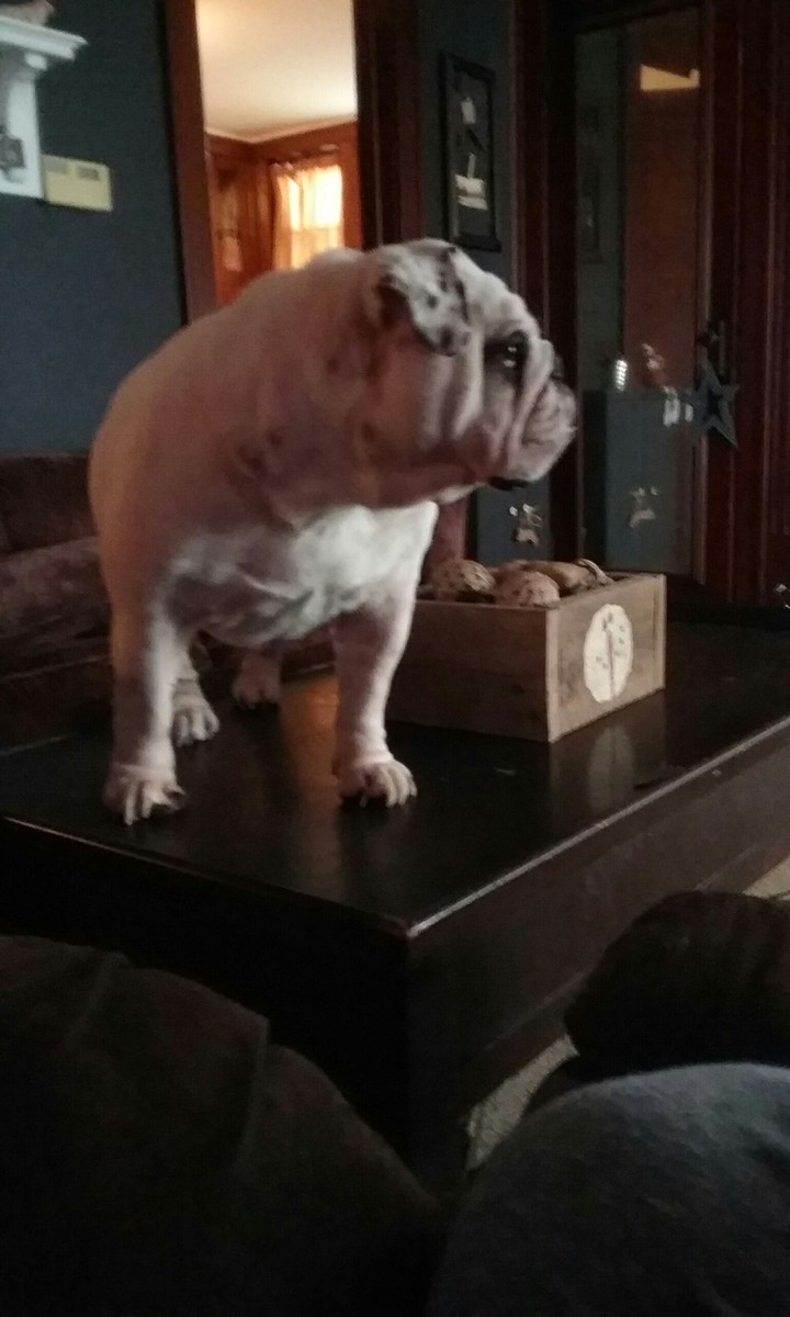 Tank