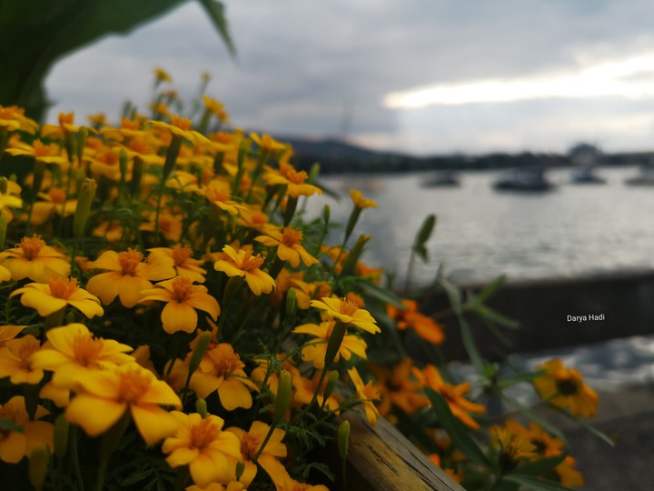 Zurich