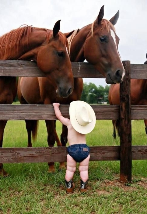 Horse whisperer? Cowboy?