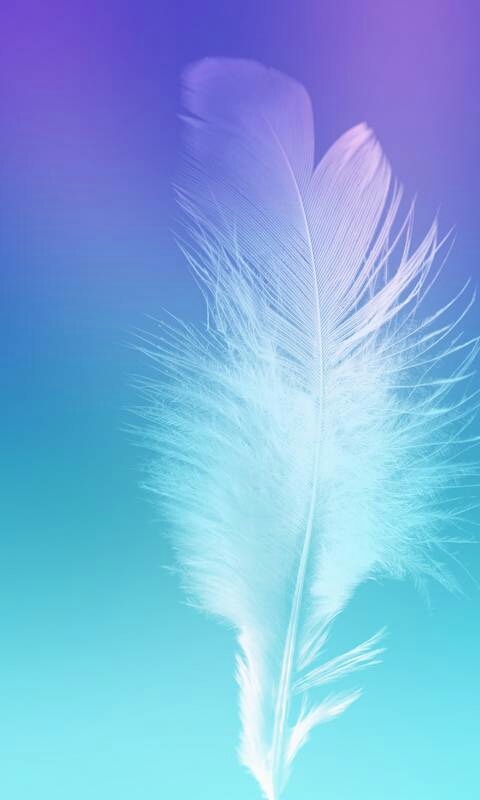 feather 2 .