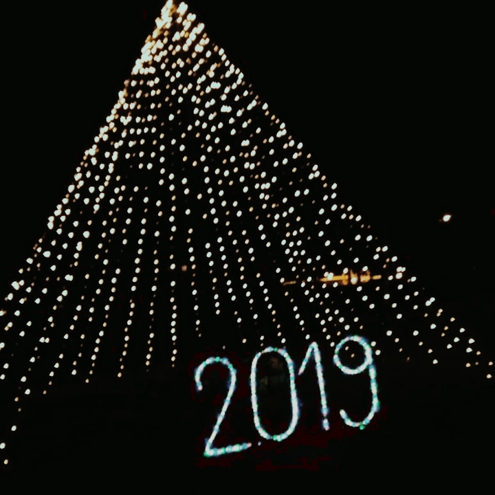 2019