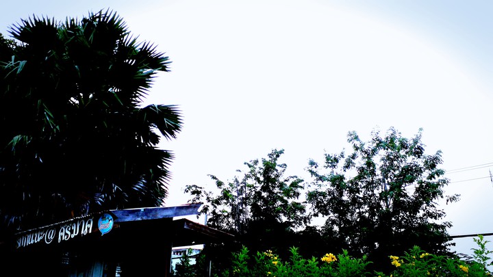 local