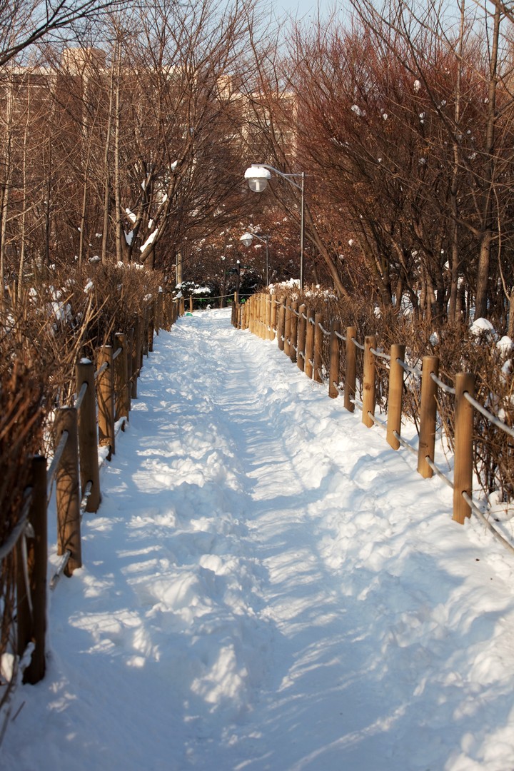 Winter