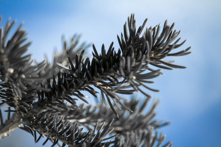 winter