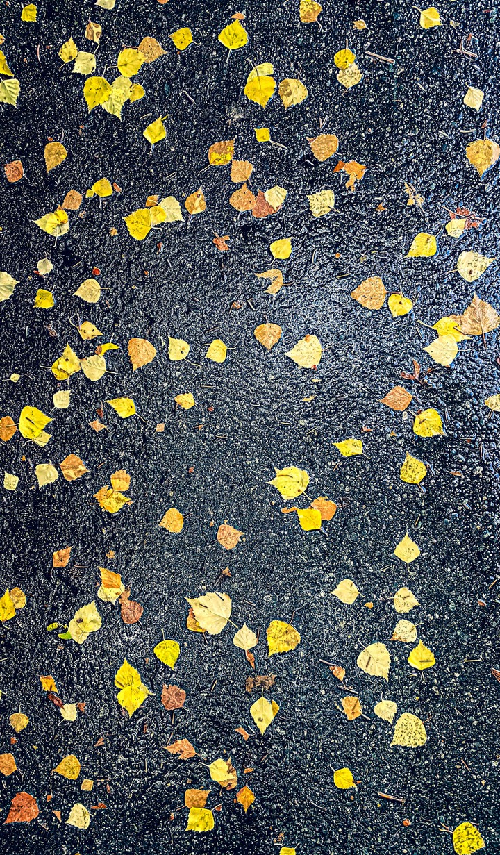 autumn again