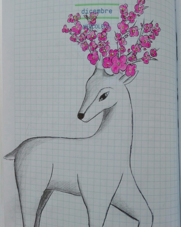 flower deer