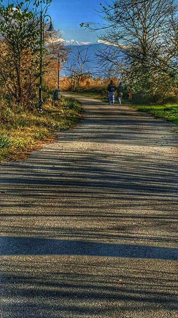 road of fame