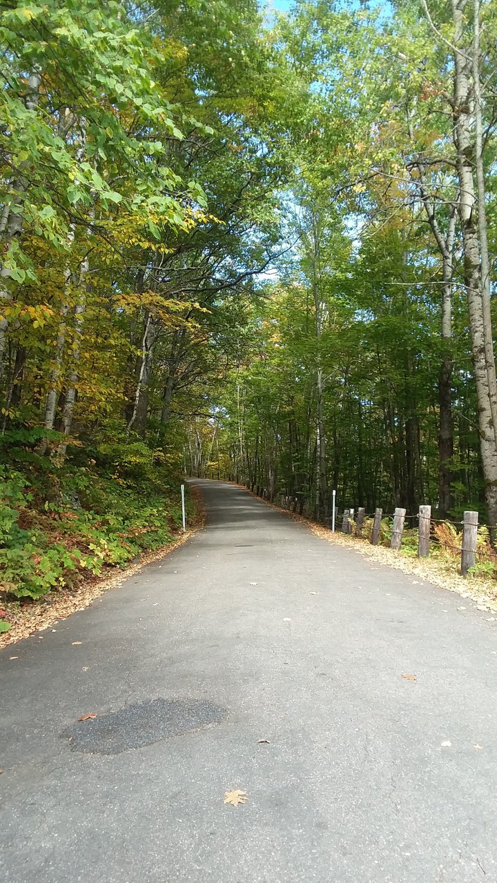 Pathway up Mt. Prospect