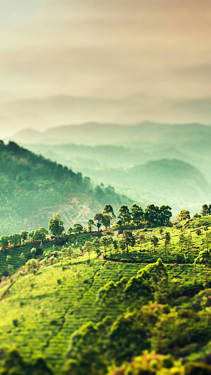 mountains.