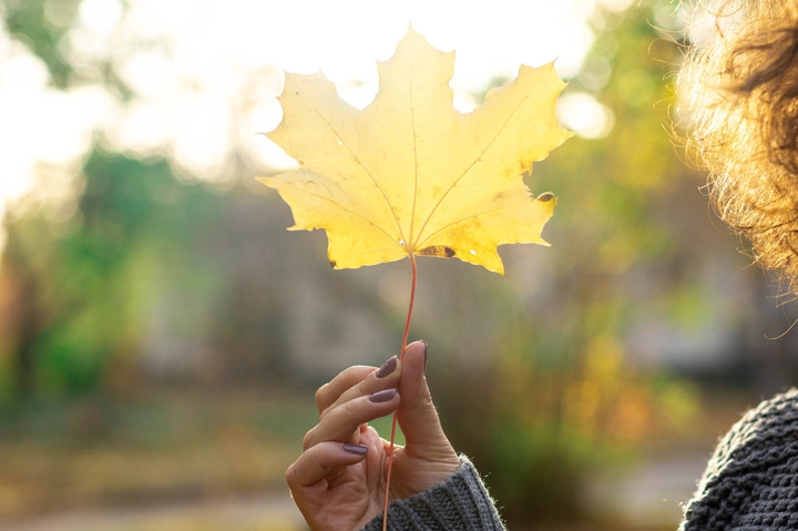 Sunny autumn