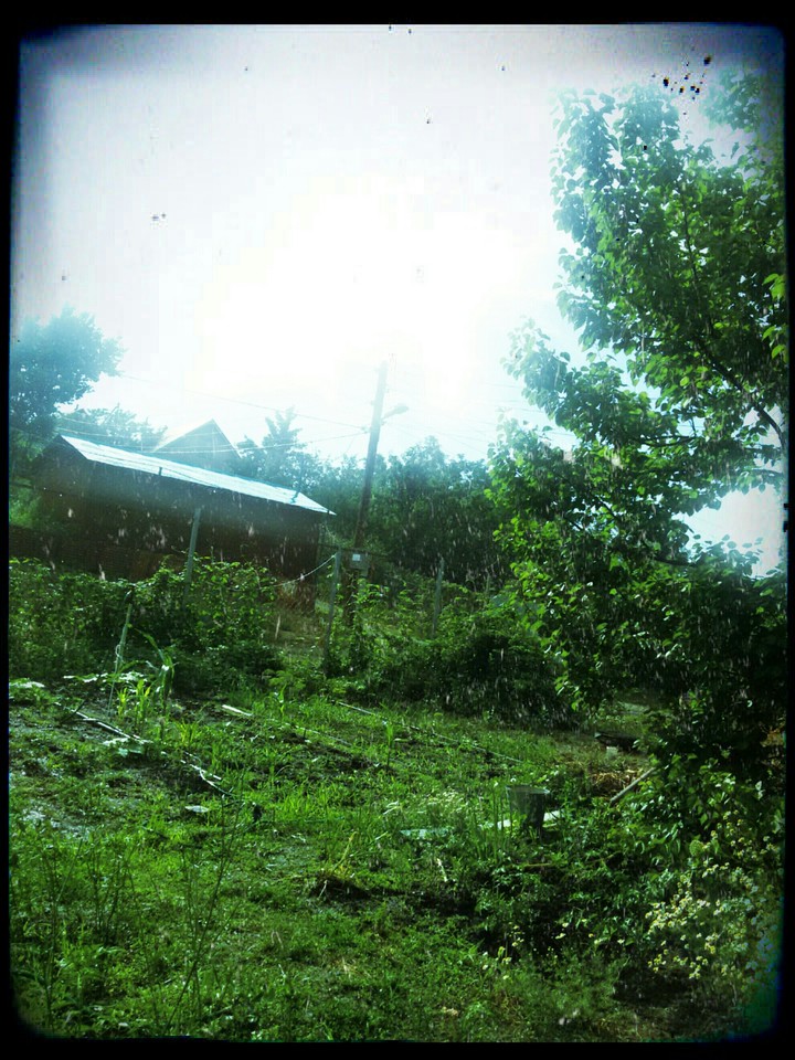 rain