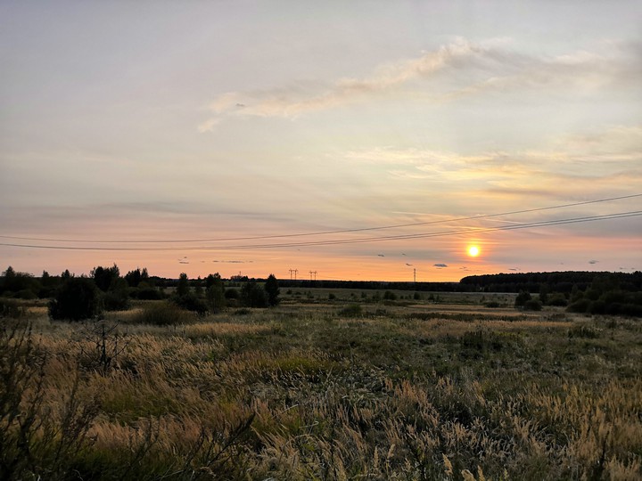 Nature