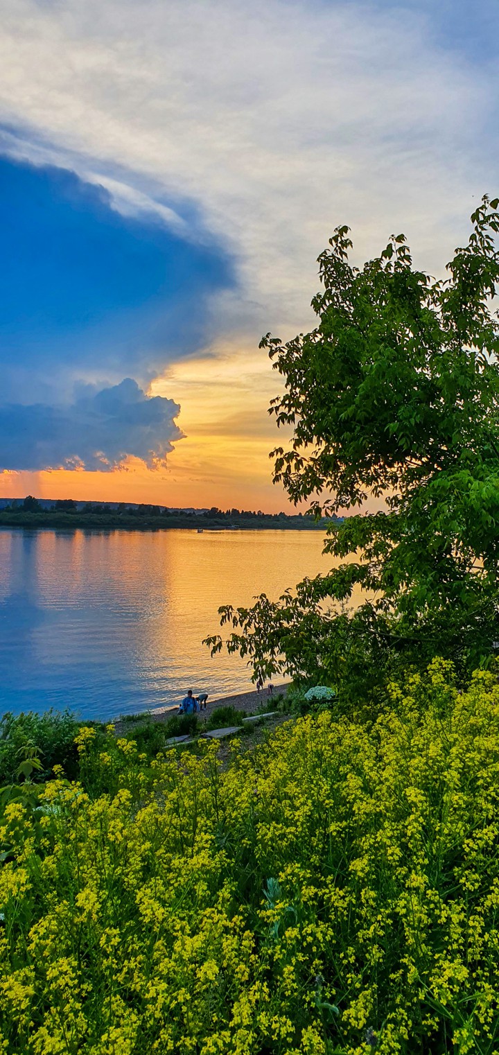 sunset and nature