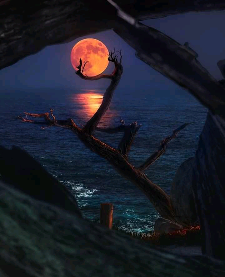 awesome world