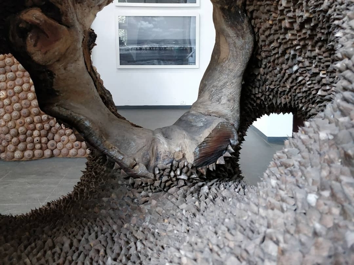 Inside the jackfruit tree