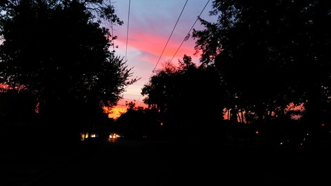 Summer evening