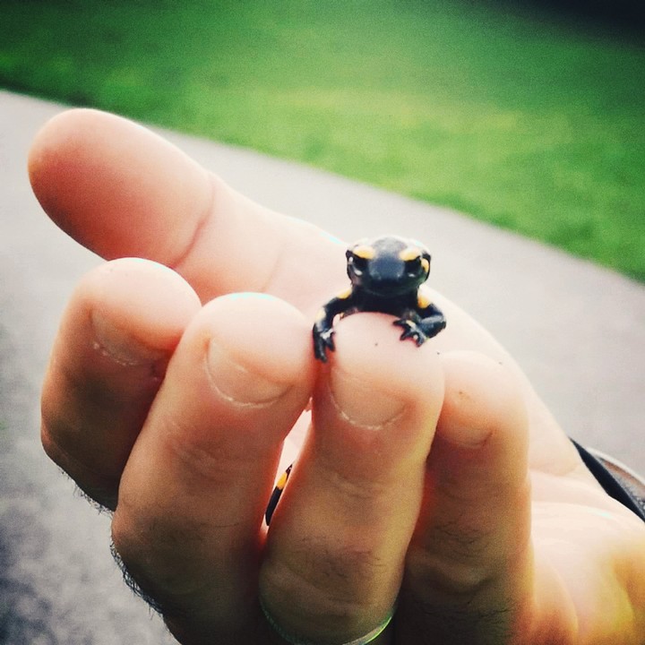 little
