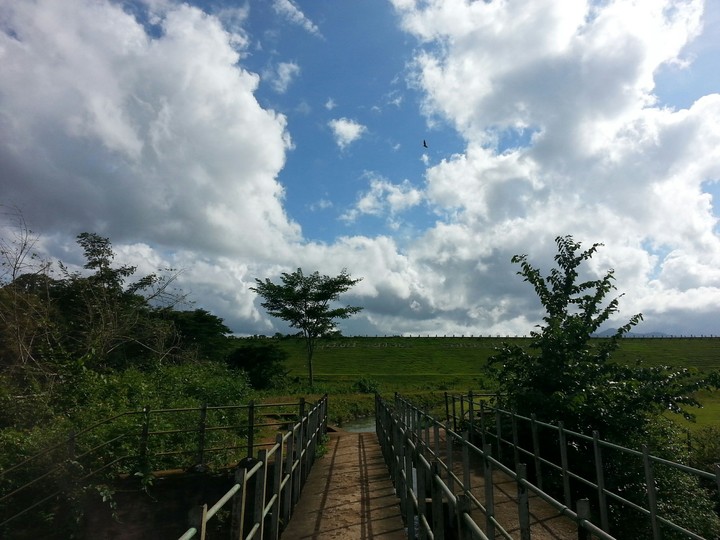 clouds
