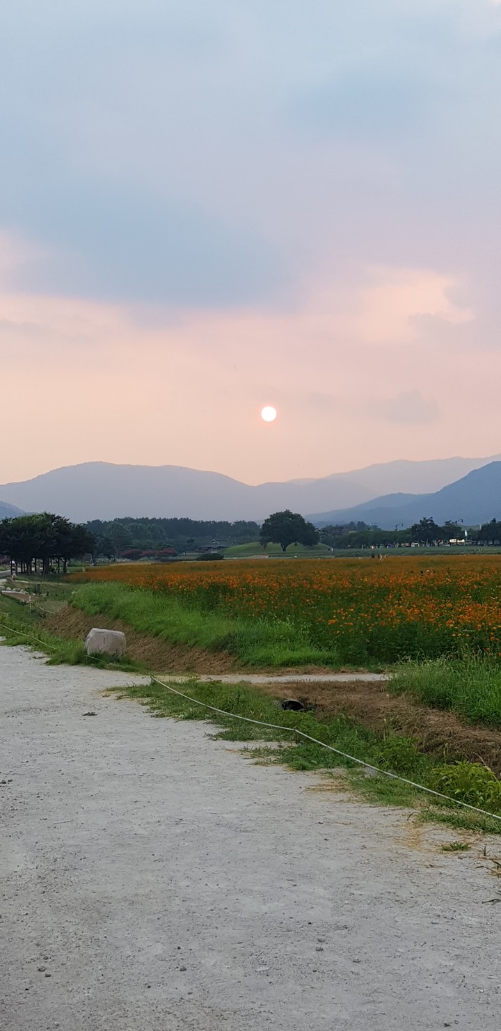 경주