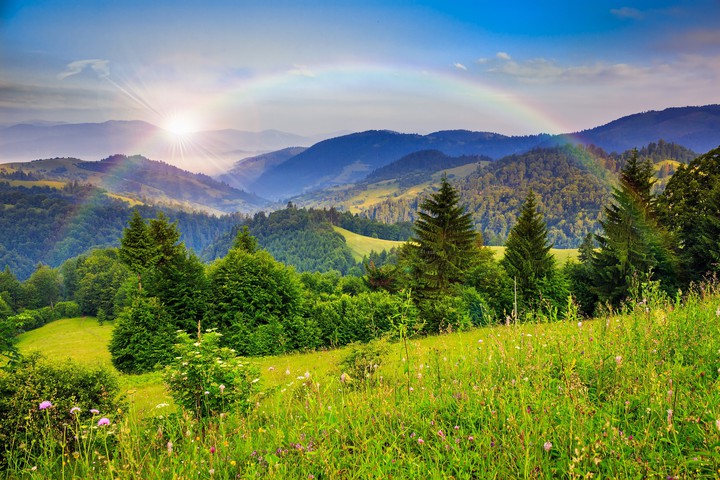 Nature's Beauty