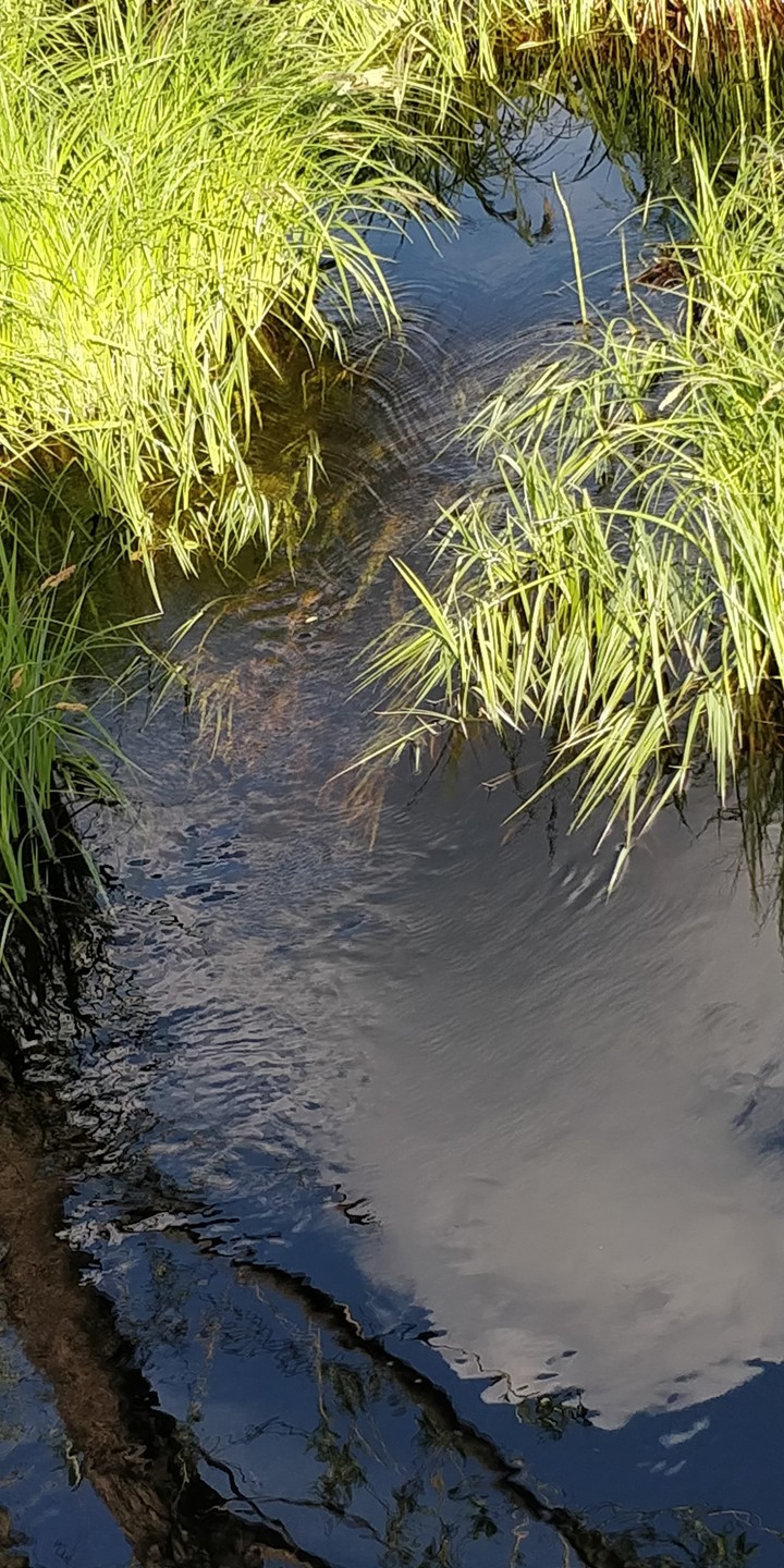 водный барьер