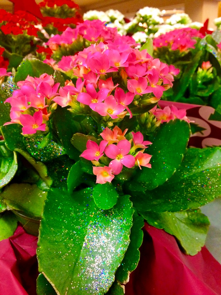 glittery flowers