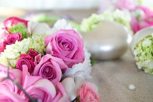 Rosas