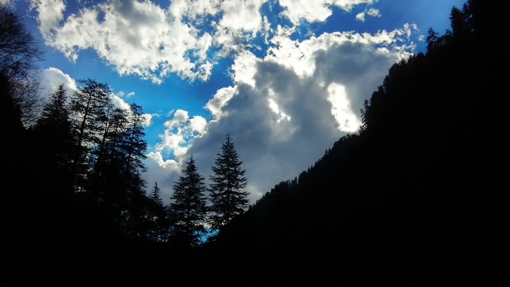 The sky from below