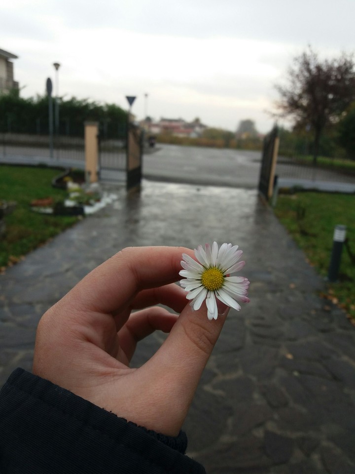 ❤