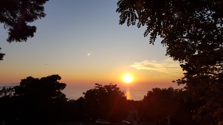 sunset in the trees