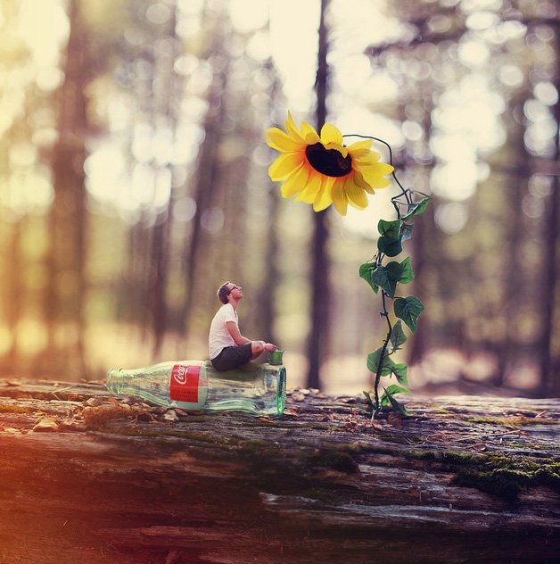 Coca-Cola ft flower