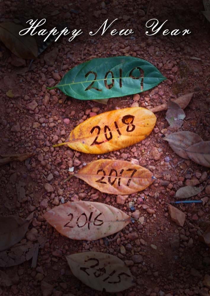 happy new year
