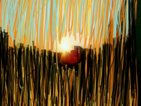 sunset