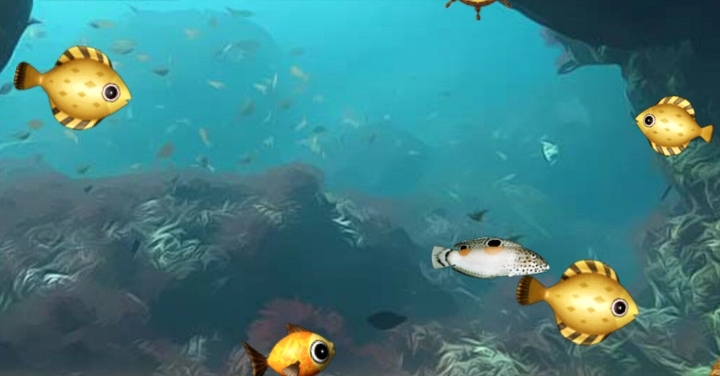 fish live