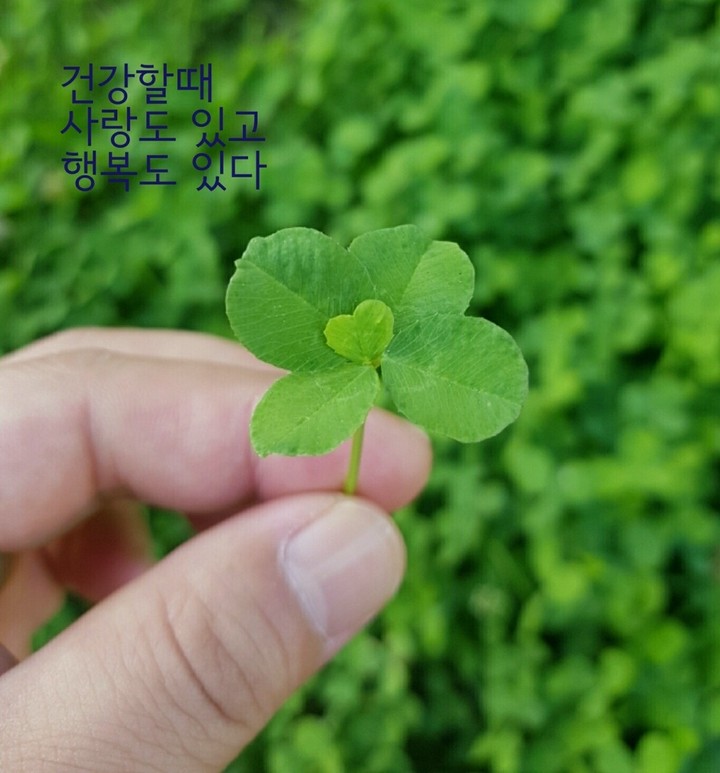 행운 한 가득 담아가세요~~~♥♥♥