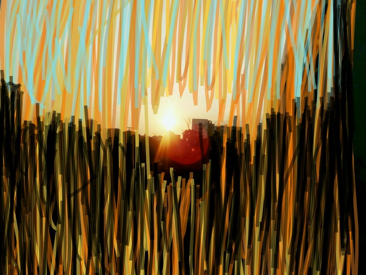 sunset
