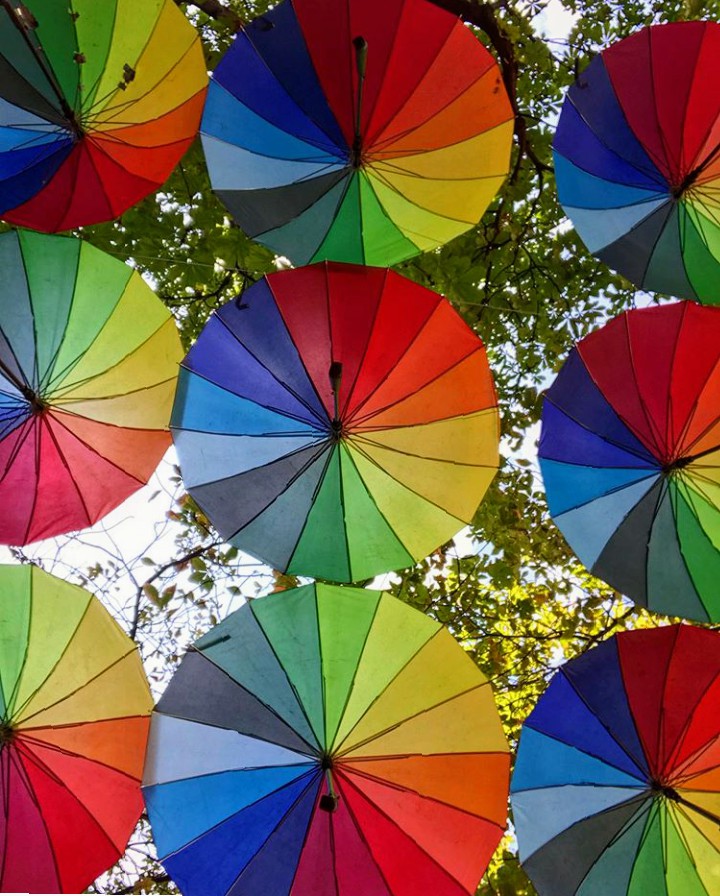 A colorful life is always more fun