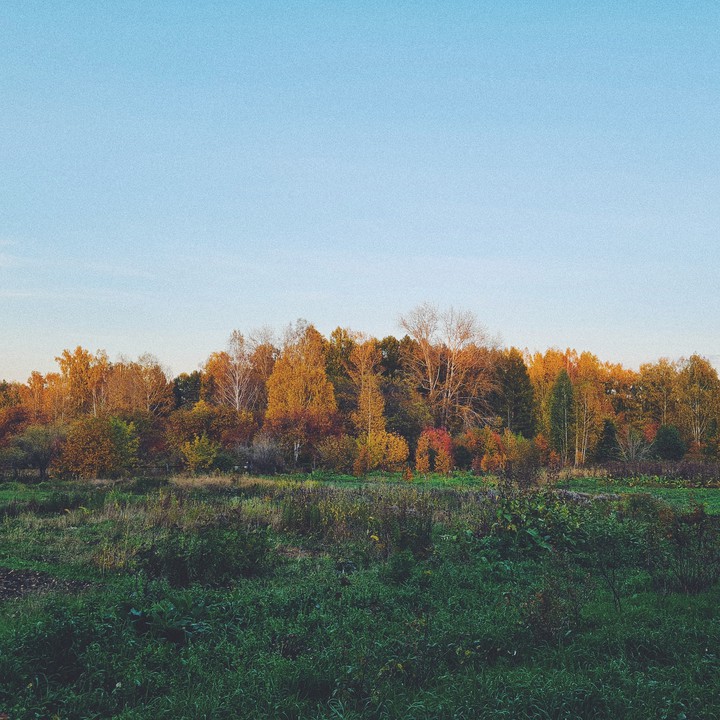 autumn