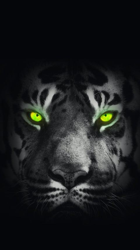тапети grey, felidae