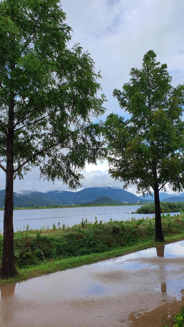 장마 시작