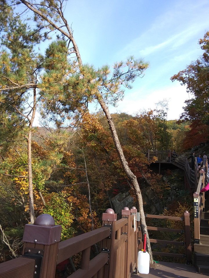 산