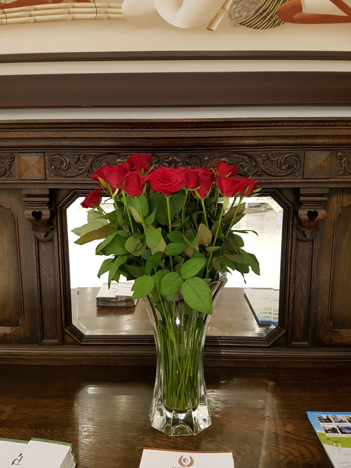 red roses