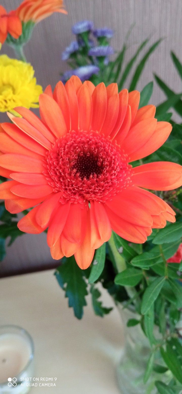 fleur